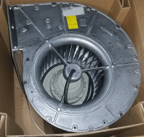 55010.gif